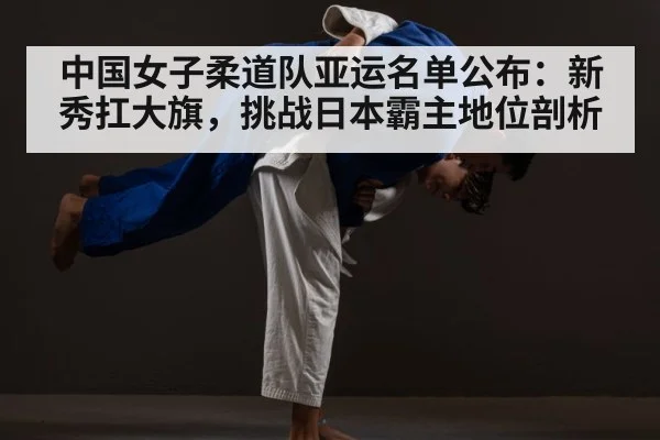 judo competition